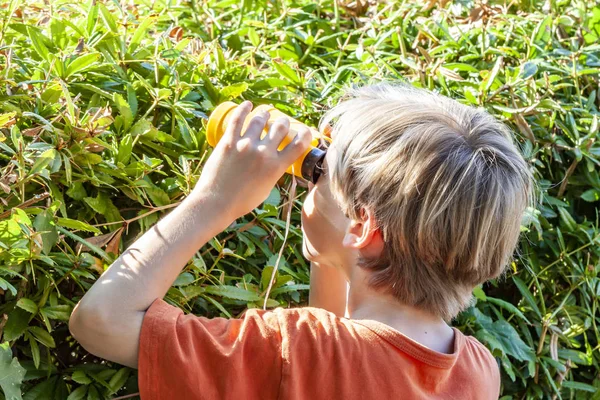 Niño pequeño con prismáticos mirando sobre el seto verde — Foto de Stock