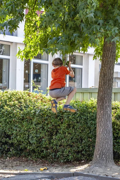 Malý chlapec horolezecké strom ve městě — Stock fotografie