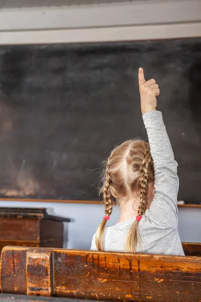 Concept of public primary school education with young girl raising her hand in the classroom — Stock Photo, Image