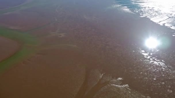 Kuzey Galler'deki Conwy alanında tideland üzerinde uçan — Stok video