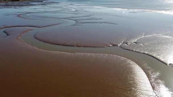Kuzey Galler'deki Conwy alanında tideland üzerinde uçan — Stok video