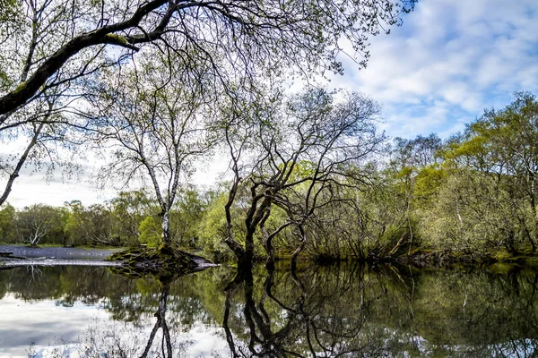 Zamyšlení nad Llyn Padarn s Dolbadarn Castle na Llanberis v Snowdonia National Park v pozadí - Wales — Stock fotografie