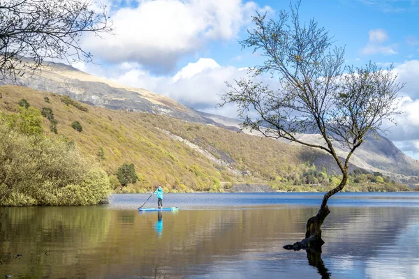 Senhora usando sua prancha de surf para stand-dup paddling — Fotografia de Stock