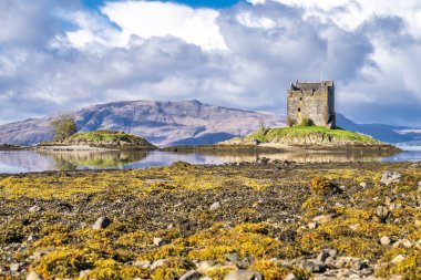 Sonbaharda Castle Stalker görünümü bağlantı noktası Appin, Argyll - İskoçya yakınındaki düşük tide '