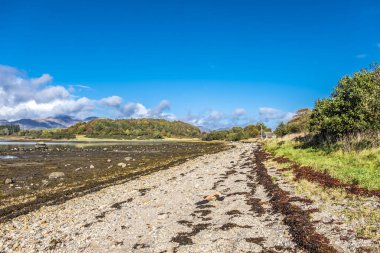 Güzel çakıl plaj Castle Stalker yakın sonbaharda düşük tide yakınındaki liman Appin, Argyll - İskoçya