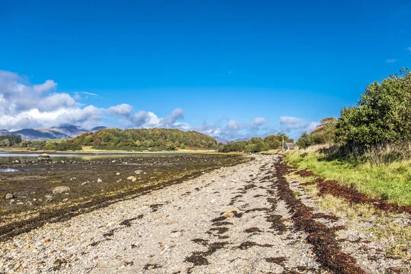 Пляж возле замка Сталкер осенью во время отлива недалеко от Порт-Аппина, Аргайл - Шотландия — стоковое фото