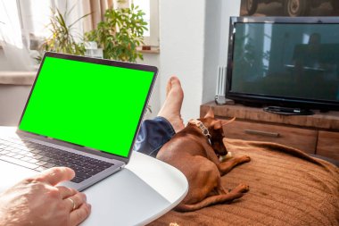 Onun köpek komik şeyler yaparken mutlu bir yalınayak adam onun laptopunda evde çalışıyor