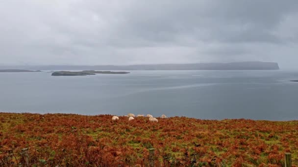 Isle of Skye, Skotsko - pohled přes Ardmore bodu směrem k vzdálené Dunvegan hlava se tyčící se útesy a temně modrý oceán — Stock video