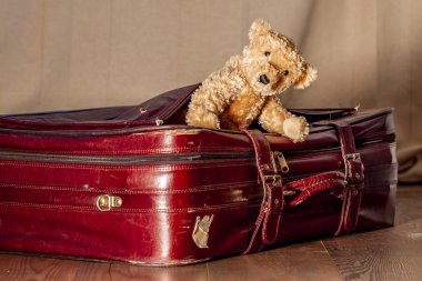 Oyuncak ayı ve kırmızı vintage çanta seyahat kavramı