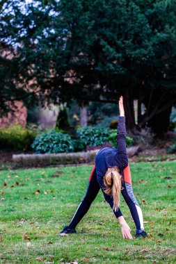 Genç Bayan yoga yaparken kavramı ormandaki açık havada egzersizleri