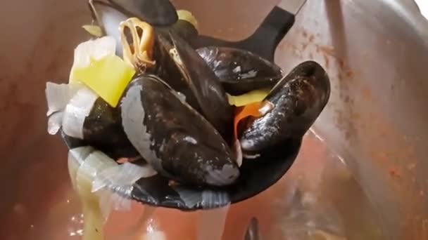 Primer plano de mejillones calientes y humeantes en la cuchara — Vídeo de stock