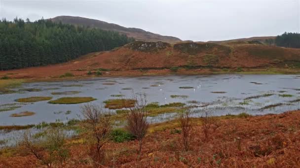 Loch Escocês Típico Outono Durante Chuva — Vídeo de Stock
