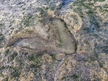 Staffin üzerinde Isle of Skye tarafından bir Corran Plajı'nda ünlü dinazor ayak izleri