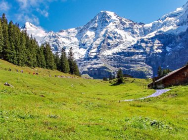 Marathon runners at the Mounts Eiger, Moench and Jungfrau in the Jungfrau region clipart