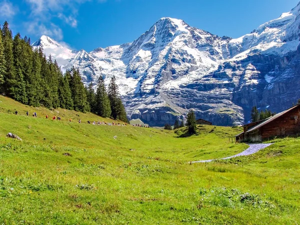 Maratonlöpare vid fästen Eiger, Moench och Jungfrau i Jungfrau-regionen — Stockfoto