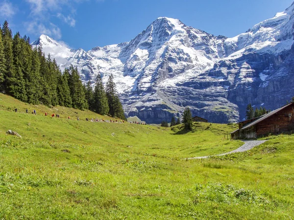 Maratończycy w słynnym regionie Jungfrau — Zdjęcie stockowe