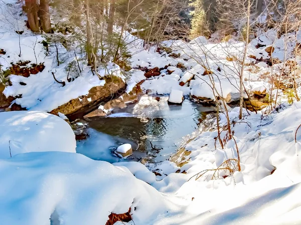 Naturalny krajobraz w śniegu i na zamarzniętym stawie w zimie — Zdjęcie stockowe