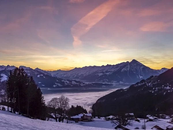 Zwitserse Alpen gezien vanaf Beatenberg tijdens de winter — Stockfoto