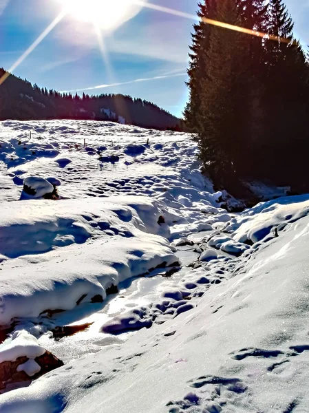 Alpes suizos vistos desde Beatenberg durante el invierno — Foto de Stock