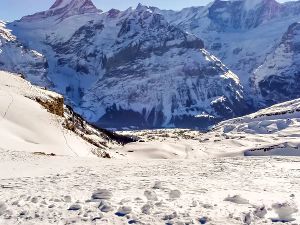 Grindelwald visto desde los Alpes entre la Primera y Faulhorn en Suiza —  Fotos de Stock