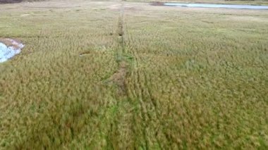 Loch Cuithir ve Sgurr bir Mhadaidh Ruadh - Hill Red Fox, Isle of Skye, İskoçya