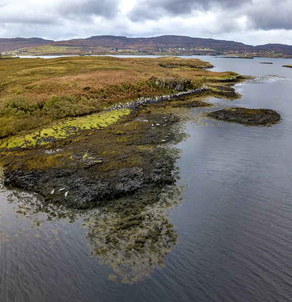 Vista aérea de la colonia de focas en Escocia - Reino Unido — Foto de Stock