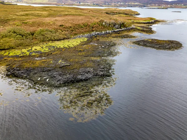 スコットランド - イギリスのオットセイ群生地の航空写真 — ストック写真