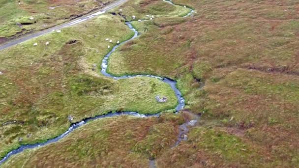 Singelspår vid Loch Cuithir och Sgurr a Mhadaidh Ruadh-kullen av rödräv, Isle of Skye, Skottland — Stockvideo