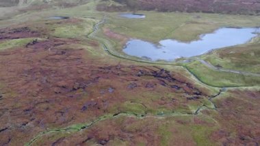 Nadir dinozor ayak izi Rubha nam Brathairean, kardeşler noktası - Isle of Skye, İskoçya gelen Dashanpu'daki-egemen tracksite