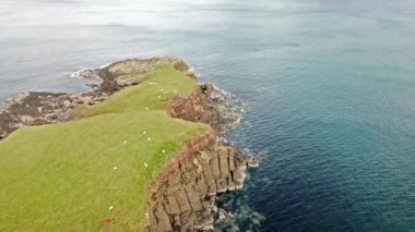 Rubha nam Brathairean, kardeşler noktası - Isle of Skye, İskoçya gelen nadir dinozor ayak izi Dashanpu'daki hakim olduğu tracksite ile dinozor defne üzerinde uçan