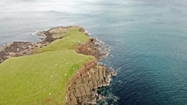 Volando sobre la bahía de dinosaurios con la rara huella de dinosaurio del sitio de la pista dominado por saurópodos de Rubha nam Brathairean, Brothers Point - Isla de Skye, Escocia — Vídeo de stock