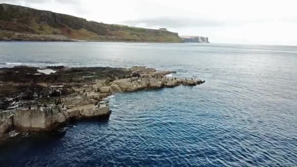 Volando sobre la bahía de dinosaurios con la rara huella de dinosaurio del sitio de la pista dominado por saurópodos de Rubha nam Brathairean, Brothers Point - Isla de Skye, Escocia — Vídeos de Stock