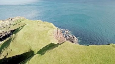 Rubha nam Brathairean, kardeşler noktası - Isle of Skye, İskoçya gelen nadir dinozor ayak izi Dashanpu'daki hakim olduğu tracksite ile dinozor defne üzerinde uçan.