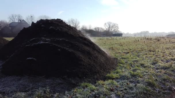 Grămadă aburitoare de gunoi de grajd pe teren agricol în timpul iernii — Videoclip de stoc