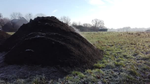 Dampende stapel van mest op boerderij veld in de winter — Stockvideo