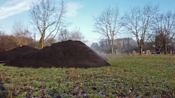 Montón humeante de estiércol en el campo agrícola en el invierno — Vídeos de Stock