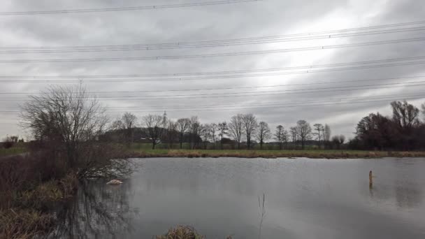 The Schwafheimer sea is a nature conservation area in Moers in a former flood gutter of the river Rhine in Germany — Stock Video