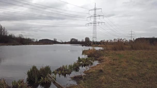 La mer de Schwafheimer est une zone de conservation de la nature à Moers dans une ancienne gouttière d'inondation du Rhin en Allemagne — Video