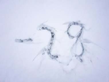 Kar içinde yazılı -28 sıcaklığını