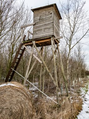 Deerstand alan ve Almanya'da ormanında kış