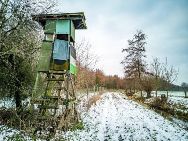 Deerstand alan ve Almanya'da ormanında kış