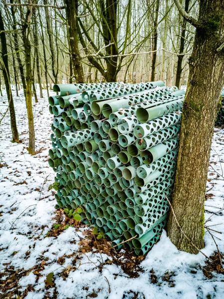 Sistema de protección de árboles en el bosque de invierno de Alemania — Foto de Stock