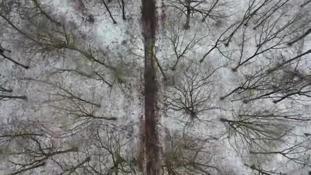 Vue aérienne cinématographique de la forêt d'hiver avec sentier révélant l'arrière-plan industriel de la ville de Duisburg avec cheminées 