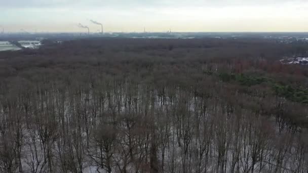 Flygfoto över vintern skogen med industriell bakgrund av staden Duisburg med skorstenar FN bakgrunden - Tyskland — Stockvideo
