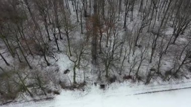 Kış orman yolu havadan görünümü
