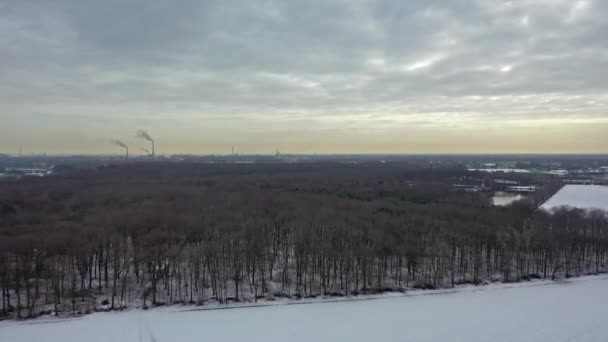 Aerial view of the winter forest with the industrial background of the city of Duisburg with chimneys un the background - Germany — Stock Video