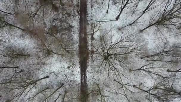 Vista aérea del bosque de invierno con sendero — Vídeos de Stock