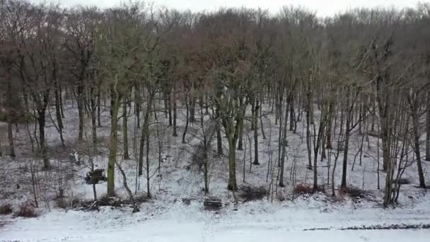 Luchtfoto van de winter bos Lauersfort in Moers, Duitsland — Stockvideo