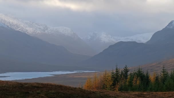 Nieve cae en las tierras altas de Escocia — Vídeos de Stock