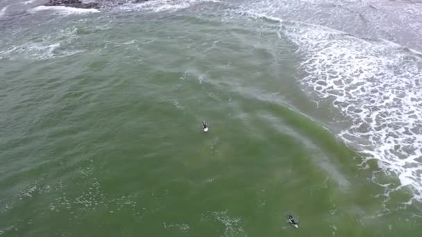 Vista aérea dos surfistas em Bundoran e Donegal Bay - Irlanda — Vídeo de Stock